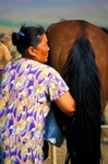 Lady milking a mare, Mongolia.