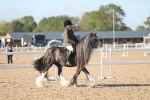SBM_22193