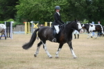 WJ7_7096