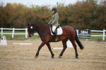 SBM_000394