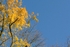 Wednesday 12th Nov 2008