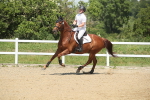 SBM_012393