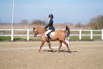 SBM_001964