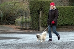 Walking With Style