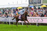 170524-Race 4-Giavellotto-8096