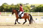 SBM_008194