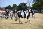 WJ6_5370