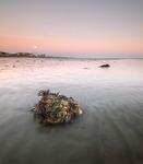 IMG_3622 v2 v4