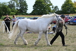WJ6_6610