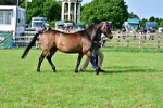 SBM_00992