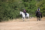 WJ6_8126