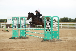 SBM_006313
