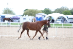 SBM_15342