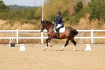 SBM_017958