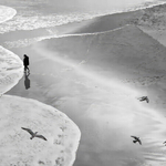 Silver - Gill Mackay - Birds eye view