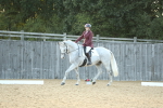 SBM_31183