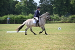 WJ6_5432