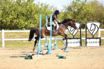 SBM_001129