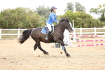 SBM_008666