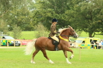 SBM_75028