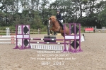 BPP_2943