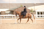 SBM_06736