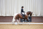 SBM_000731