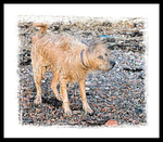 Jake Drying off..