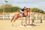 SBM_000980