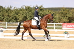 SBM_015065