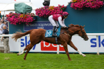 Race 7 5.20pm Sky Bet Nursery Handicap portfolio