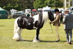 SBM_04212