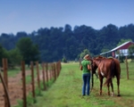 Haleys Horse_028