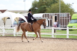 SBM_03353