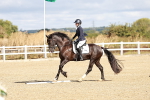SBM_009808