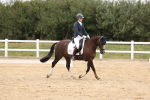 SBM_00803