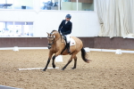 SBM_000365