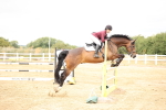 SBM_023792