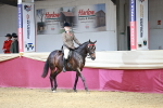SBM_06951