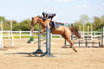 SBM_001404