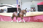 SBM_08634