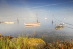 z2370 Mists of Springtime, Newtown Creek