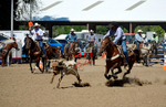 3HRodeo8-11-25_PRCASteer_07185_