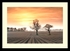 Suffolk Sunset