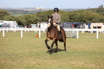 Class 21: Working Hunter 80cm portfolio
