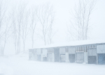 BLIZZARD 2, 2019 - LONG POINT