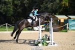 Sunday 19th - NSEA Eventers Challenge portfolio