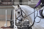 JAC_8019