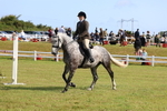 3E7A8804