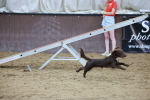 SBM_004475